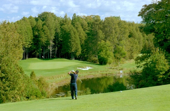 golfer taking a swing on the fairway